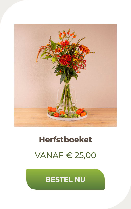 Herfstboeket