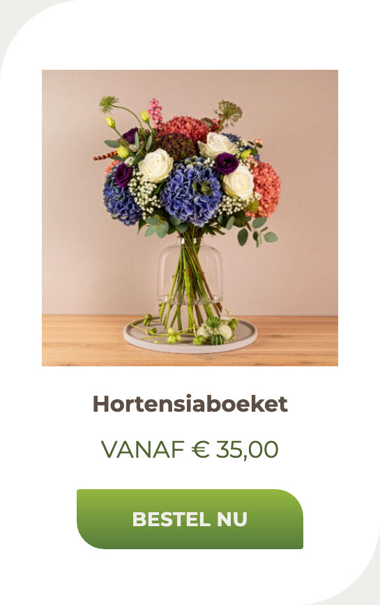 Hortensiaboeket
