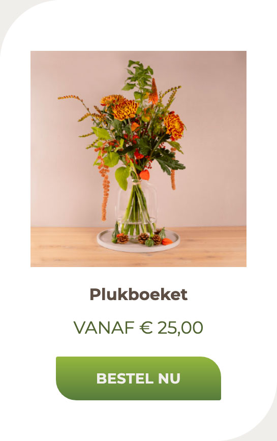 Plukboeket
