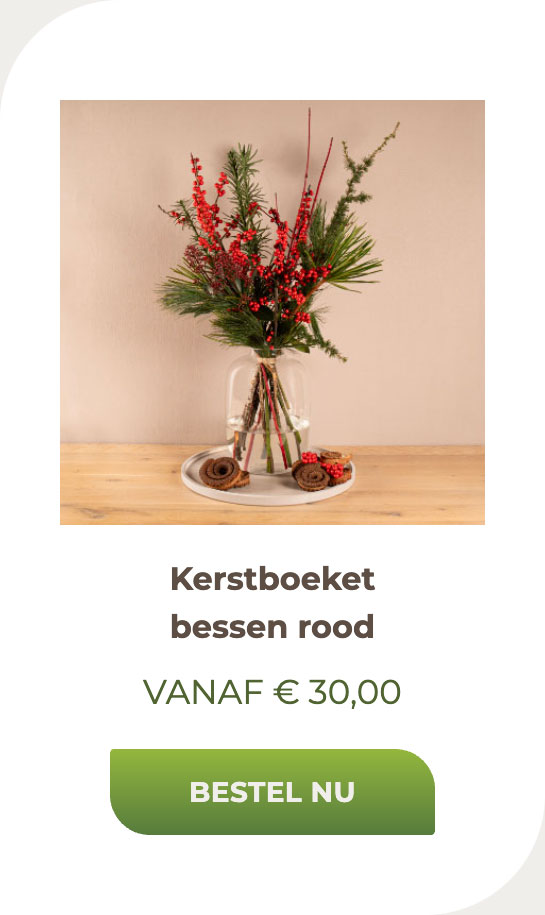 Kerstboeket bessen rood