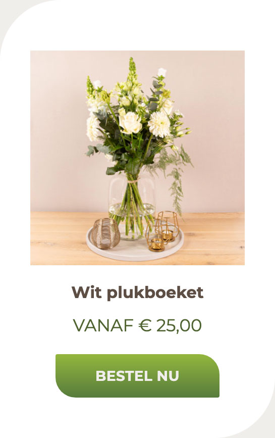 Wit plukboeket