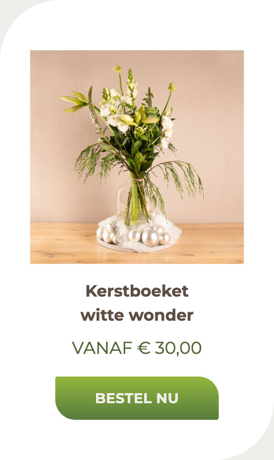 Kerstboeket witte wonder