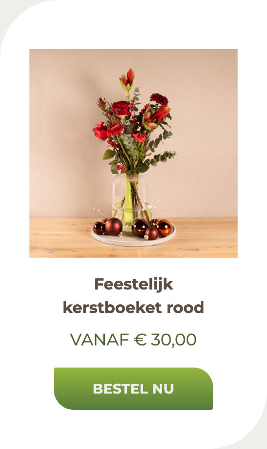 Feestelijk kerstboeket rood
