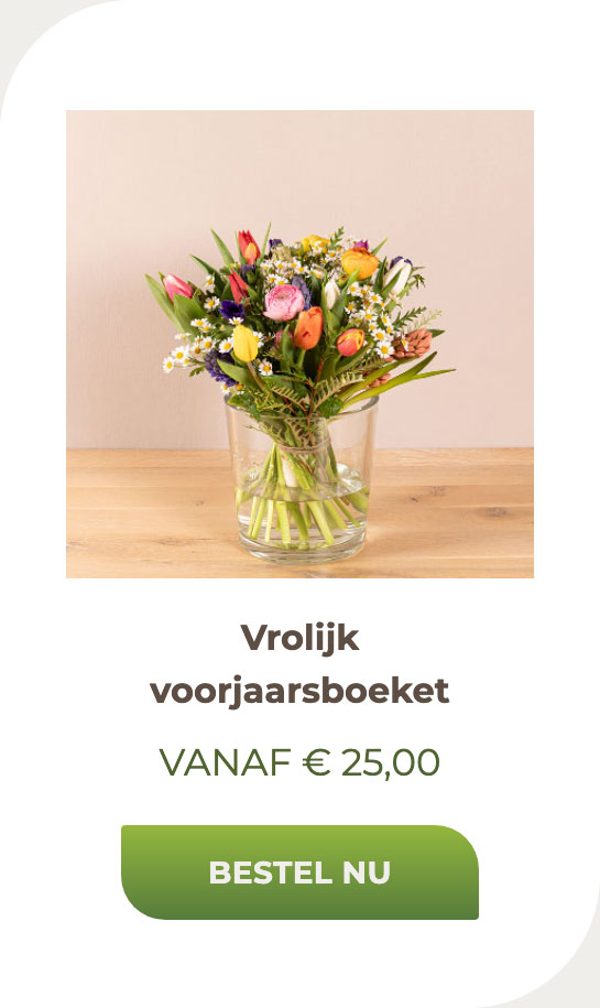 Vrolijk voorjaarsboeket