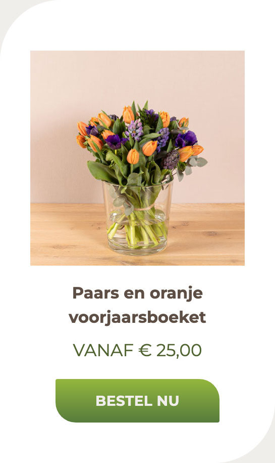 Paars en oranje voorjaarsboeket