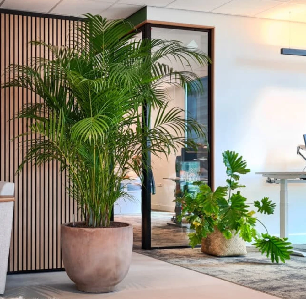 Kwaliteit en varatie biologische planten