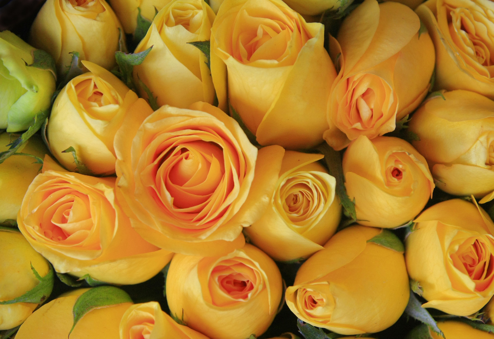 Boeket Gele Rozen