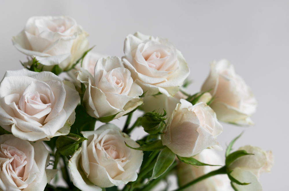 Witte rozen 18 Boeket Witte Rozen